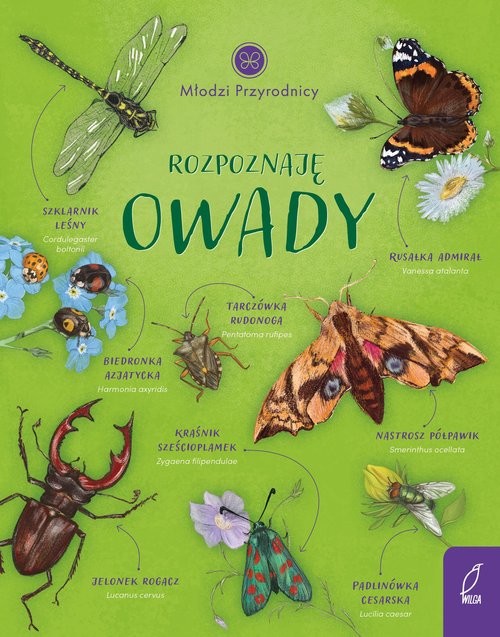 okładka Młodzi przyrodnicy Rozpoznaję owady książka | Patrycja Zarawska