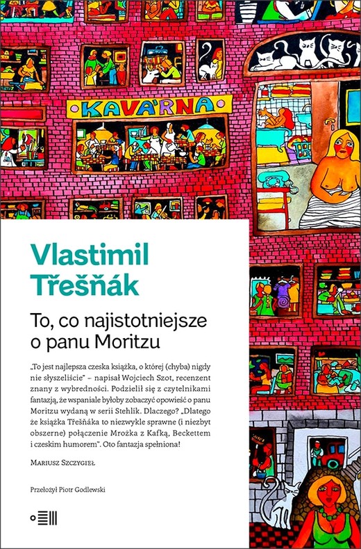 okładka To, co najistotniejsze o panu Moritzu książka | Vlastimil Třešňák
