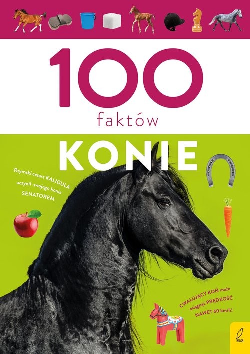 okładka 100 faktów. Konie książka | Paweł Zalewski