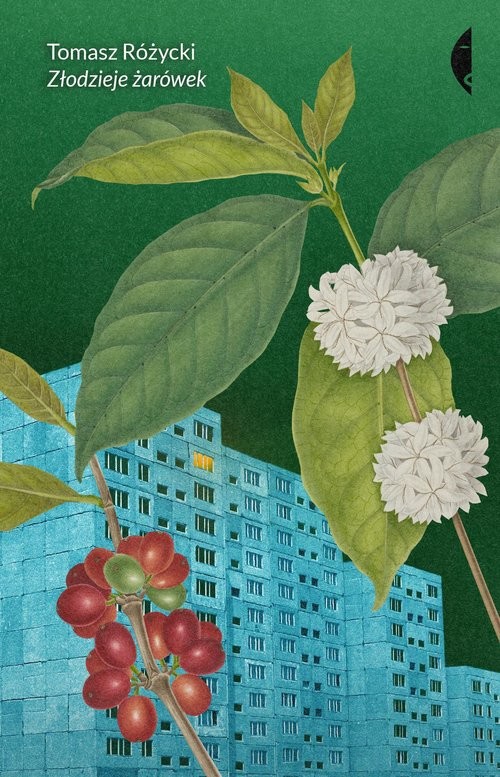 okładka Złodzieje żarówek książka | Tomasz Różycki