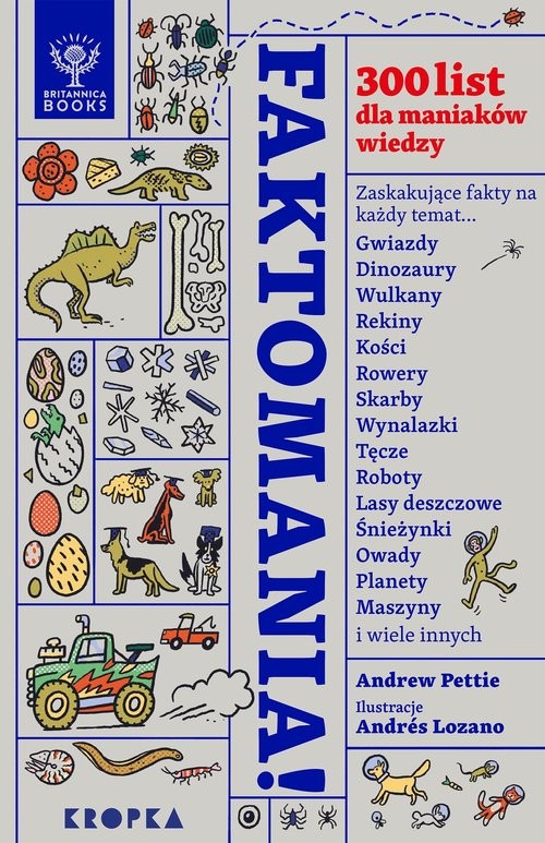 okładka Faktomania książka | Andrew Pettie