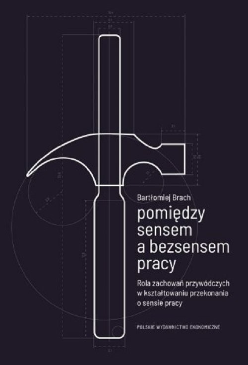 okładka Pomiędzy sensem a bezsensem pracy Rola zachowań przywódczych w kształtowaniu przekonania książka | Bartłomiej Brach