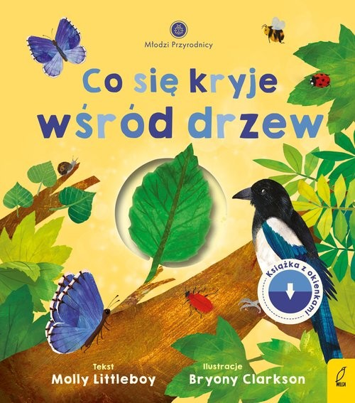 okładka Młodzi przyrodnicy Co się kryje wśród drzew książka | Molly Littleboy