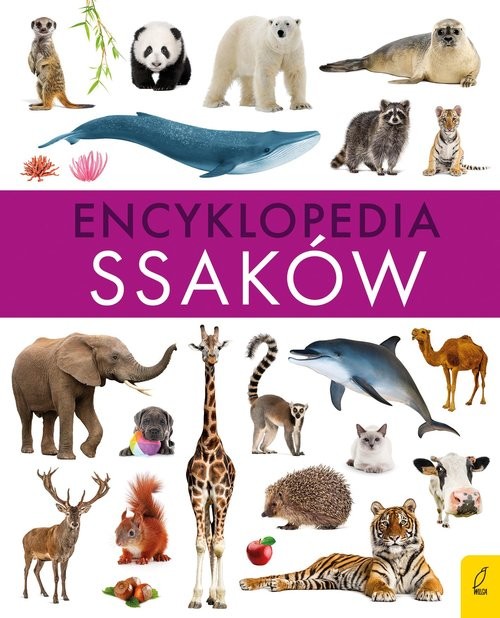 okładka Encyklopedia ssaków książka | Paweł Zalewski