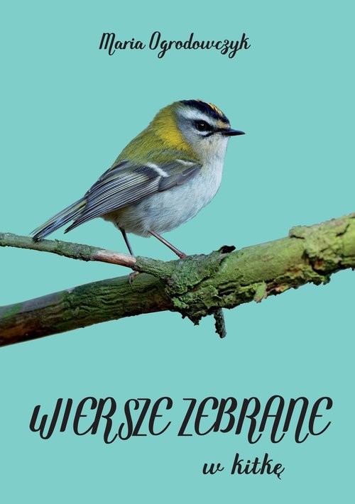 okładka Wiersze zebrane w kitkę książka | Maria Ogrodowczyk