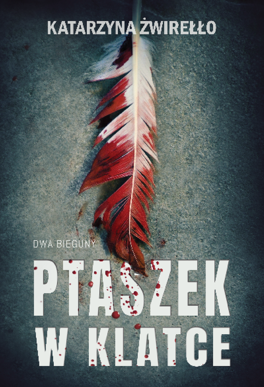 okładka Ptaszek w klatce ebook | epub, mobi | Katarzyna Żwirełło (Vera Eikon)
