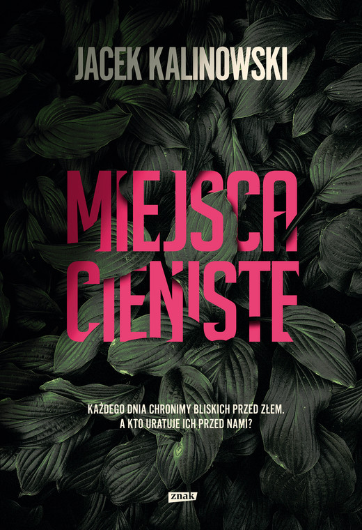 okładka Miejsca cieniste ebook | epub, mobi | Jacek Kalinowski