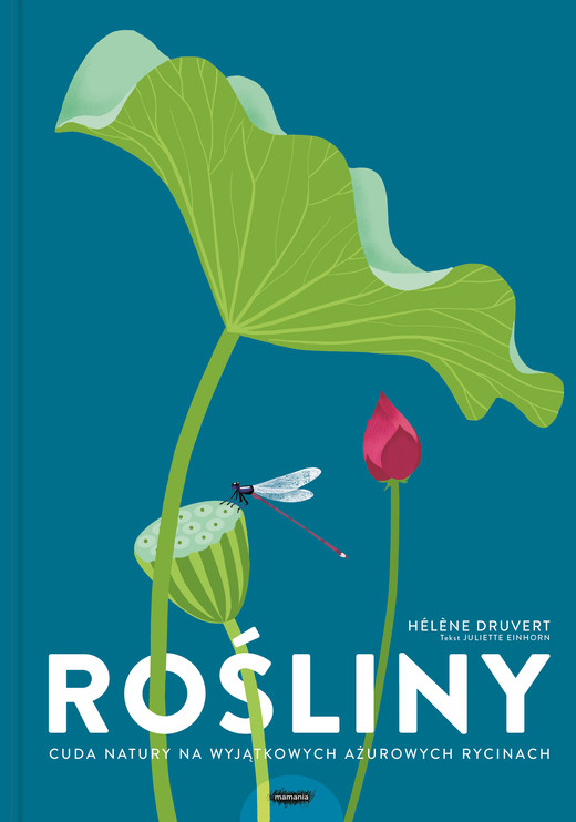okładka Rośliny. Cuda natury na wyjątkowych ażurowych rycinach książka | Druvert Helene, Juliette Einhorn