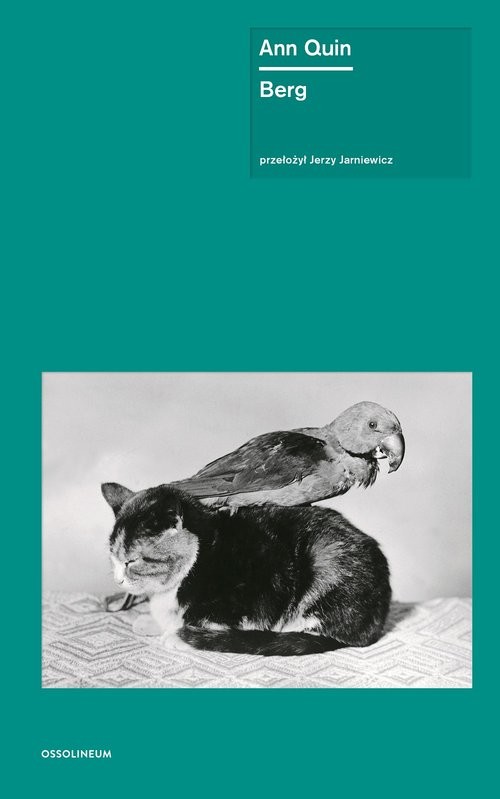 okładka Berg książka | Ann Quin