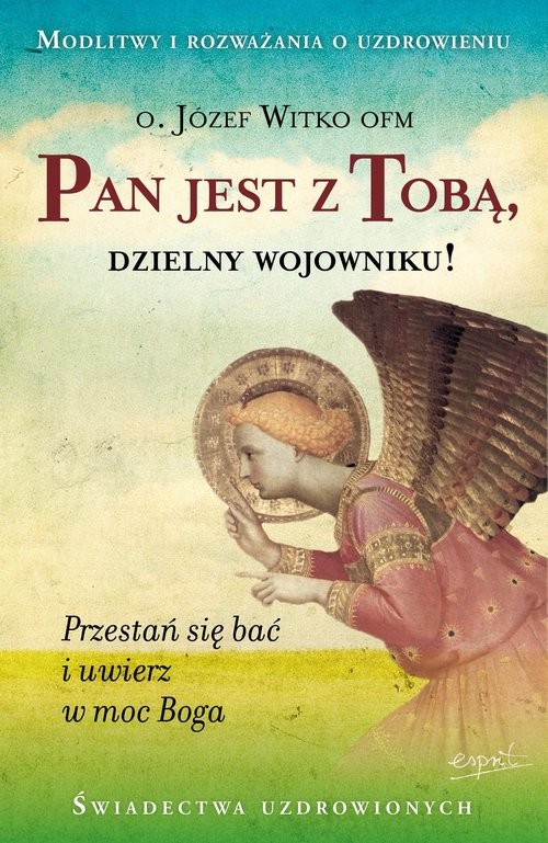 okładka Pan jest z Tobą, dzielny wojowniku! książka | Józef Witko