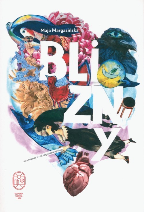 okładka Blizny książka | Maja Margasińska