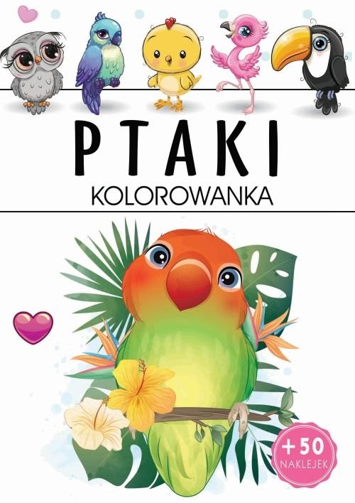 okładka Ptaki - kolorowanka książka | Praca Zbiorowa