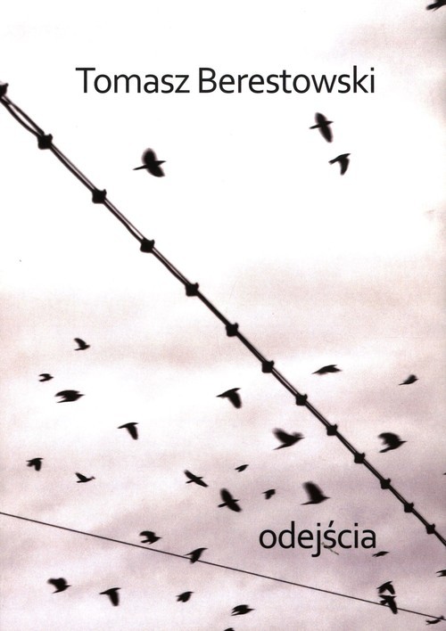okładka Odejścia książka | Tomasz Berestowski