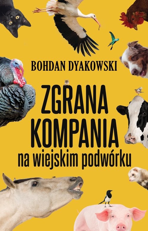 okładka Zgrana kompania. Na wiejskim podwórku książka | Bohdan Dyakowski