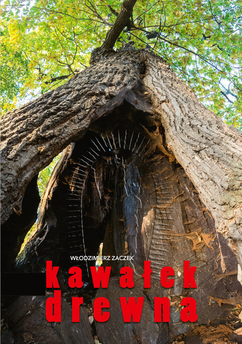 okładka Kawałek drewna książka | Włodzimierz Zaczek