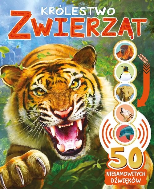 okładka 50 niesamowitych dźwięków Królestwo zwierząt książka