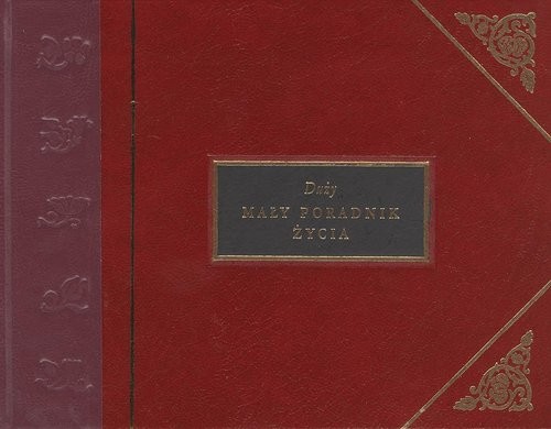 okładka Duży mały poradnik życia książka | Brown, Jr. H.Jackson