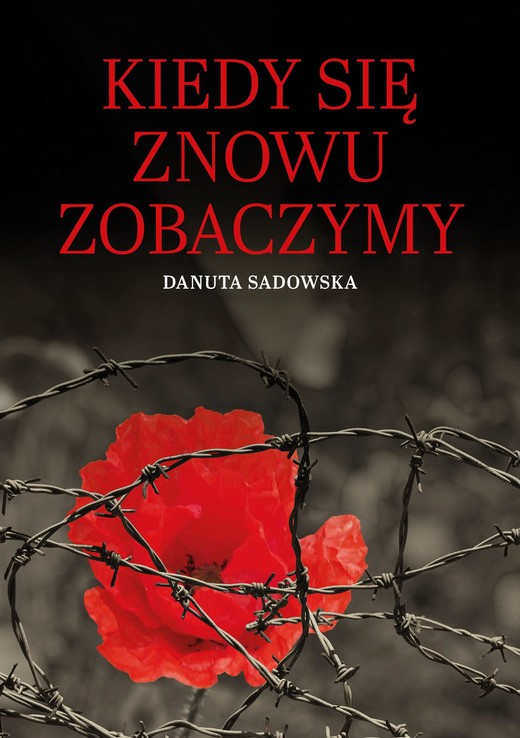 okładka Kiedy się znowu zobaczymy ebook | epub, mobi, pdf | Danuta Sadowska
