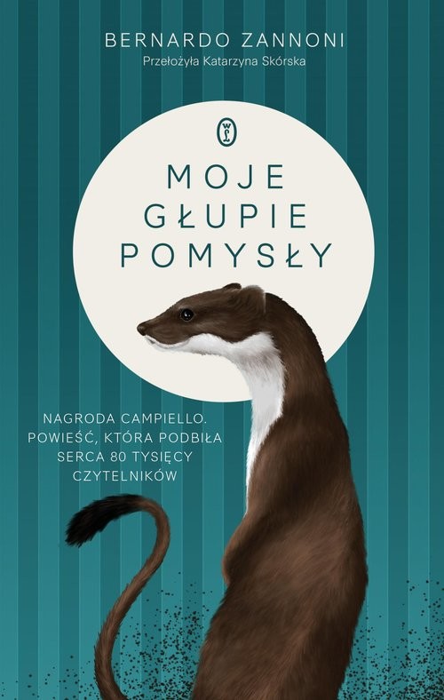 okładka Moje głupie pomysły książka | Bernardo Zannoni