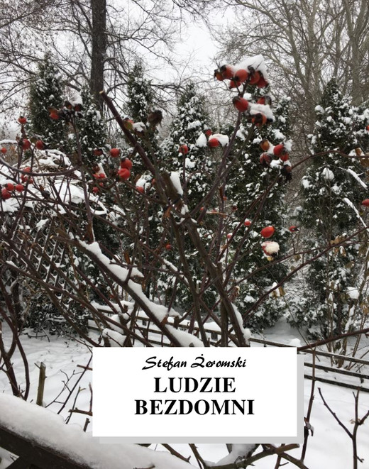 okładka Ludzie bezdomni ebook | epub, mobi | Stefan Żeromski