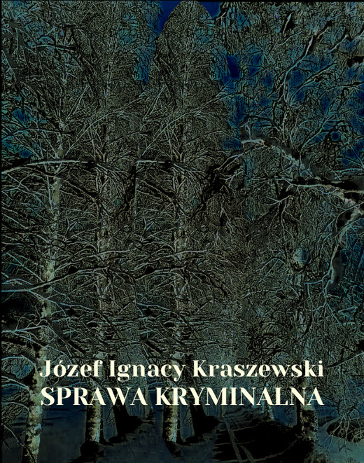 okładka Sprawa kryminalna ebook | epub, mobi | Józef Ignacy Kraszewski