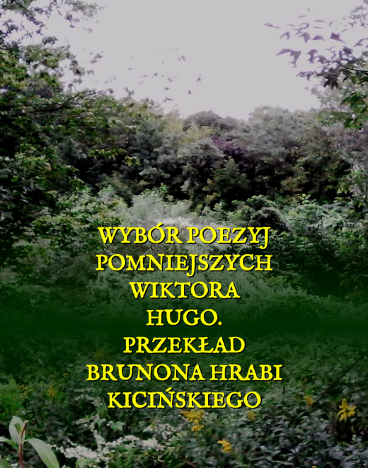 okładka Wybór poezyj pomniejszych Wiktora Hugo ebook | epub, mobi | Victor Hugo
