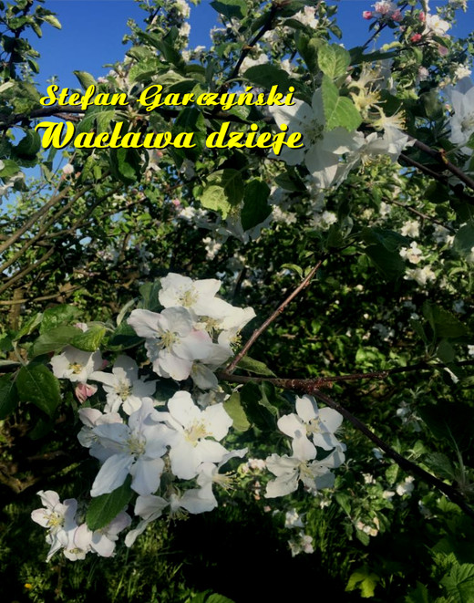 okładka Wacława dzieje ebook | epub, mobi | Stefan Garczyński