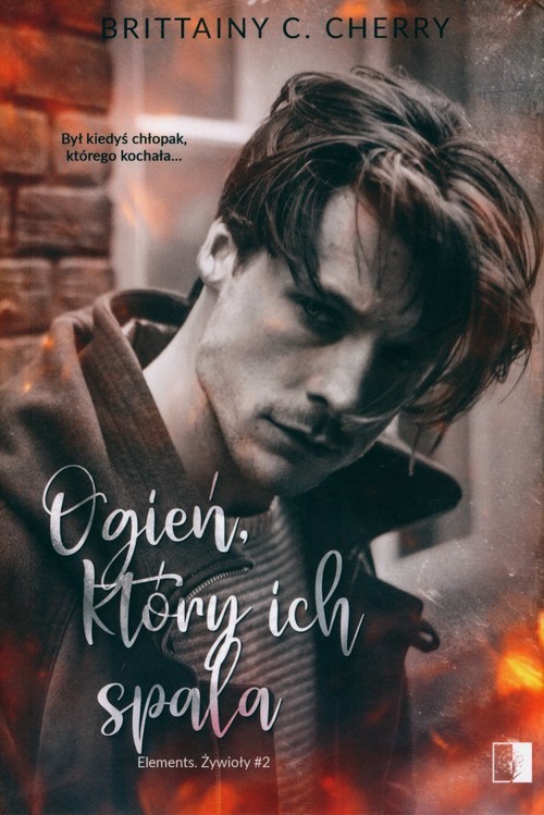 okładka Ogień, który ich spala książka | Brittainy C. Cherry