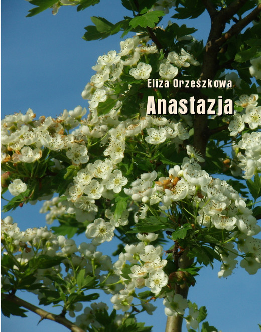 okładka Anastazja ebook | epub, mobi | Eliza Orzeszkowa
