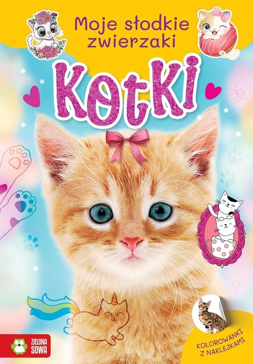 okładka Moje słodkie zwierzaki Kotki książka