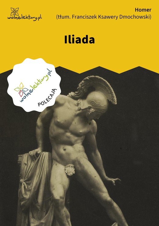 okładka Iliada ebook | epub, mobi | Homer