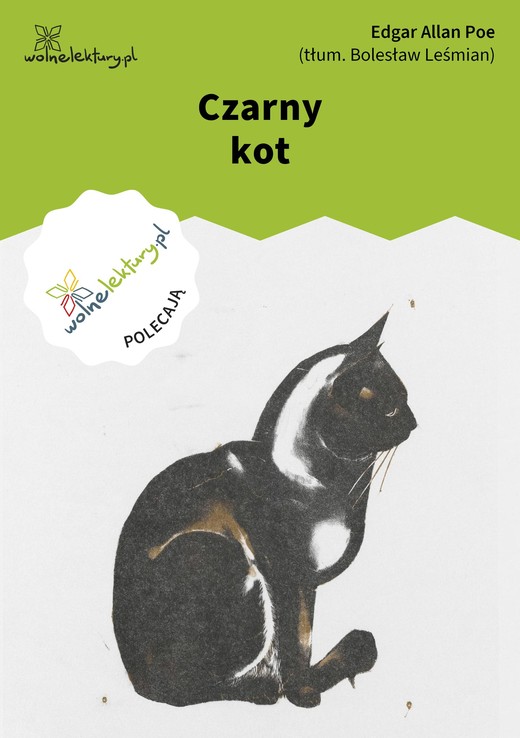 okładka Czarny kot ebook | epub, mobi | Edgar Allan Poe