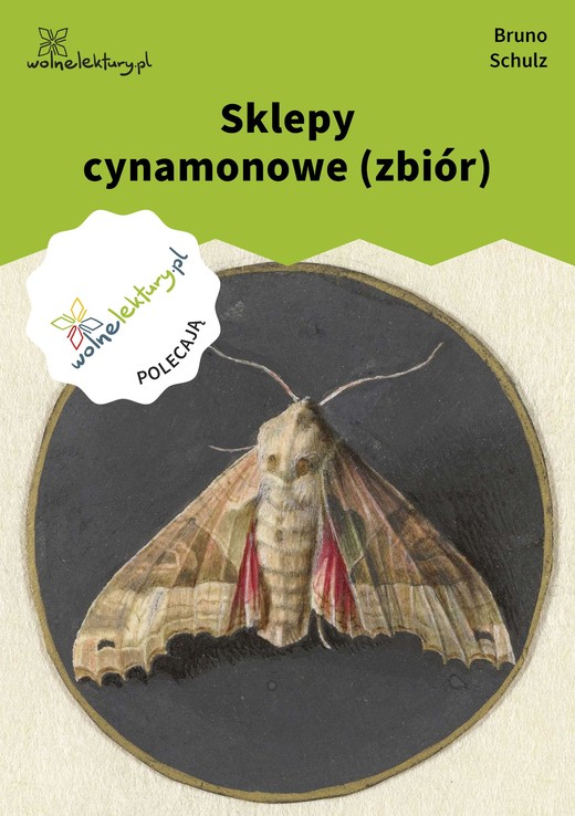 okładka Sklepy cynamonowe (zbiór) ebook | epub, mobi | Bruno Schulz