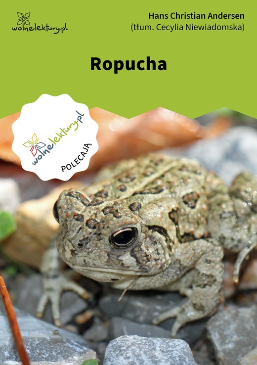 okładka Ropucha ebook | epub, mobi | Hans Christian Andersen