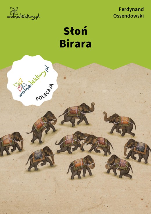 okładka Słoń Birara ebook | epub, mobi | Ferdynand Antoni Ossendowski