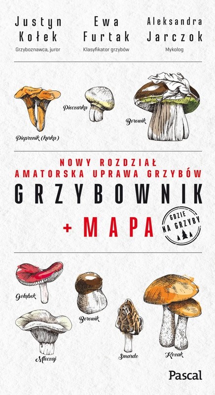 okładka Grzybownik+mapa książka | Justyn Kołek, Ewa Furtak, Jarczok Aleksandra