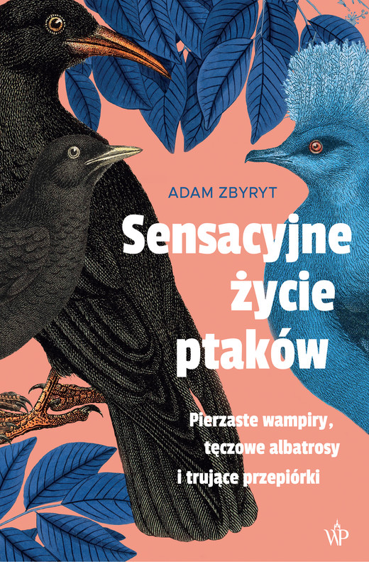 okładka Sensacyjne życie ptaków ebook | epub, mobi | Adam Zbyryt