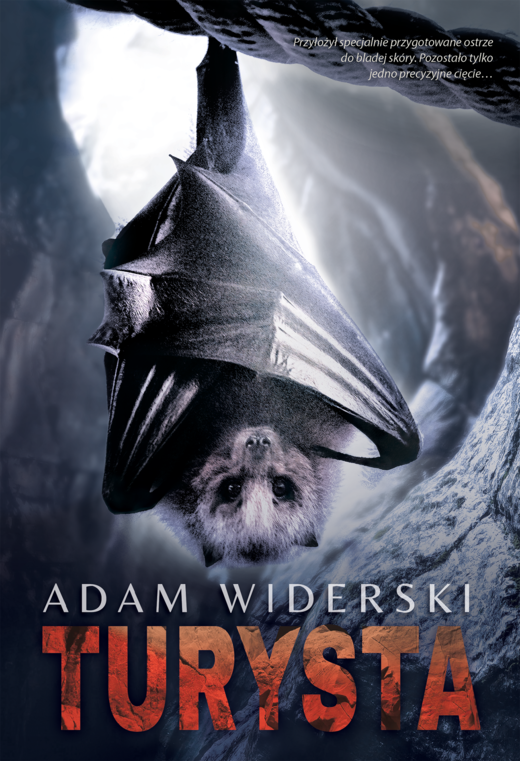 okładka Turysta ebook | epub, mobi | Adam Widerski
