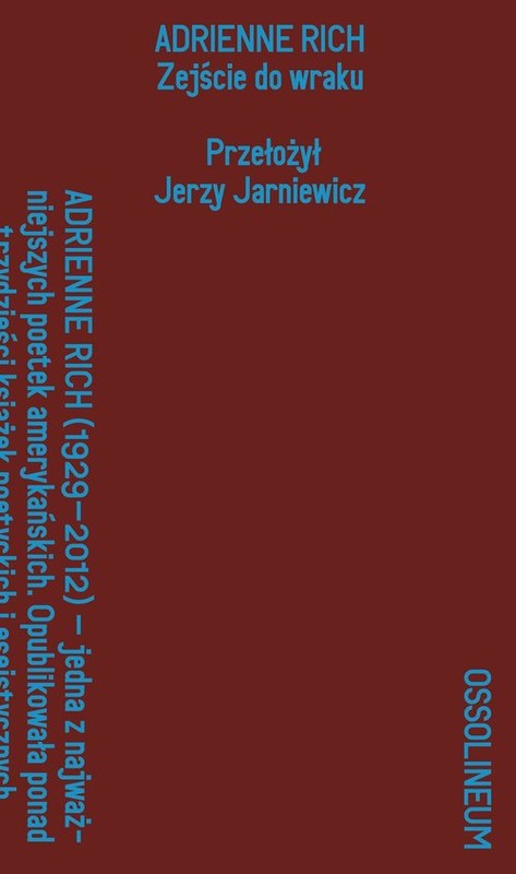 okładka Zejście do wraku książka | Adrienne Rich