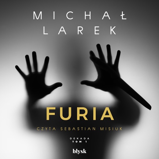 okładka Furia audiobook | MP3 | Michał Larek
