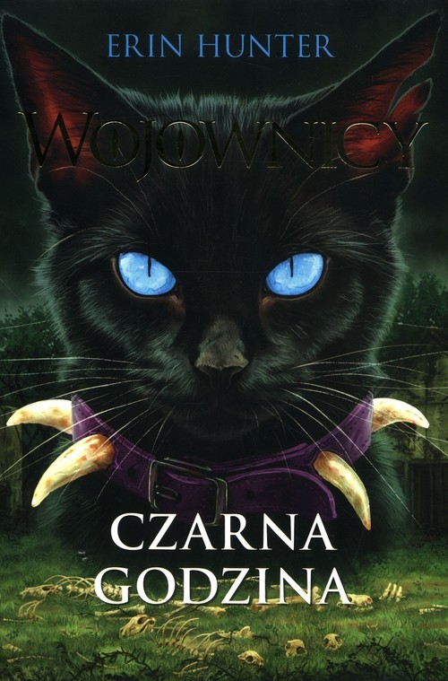 okładka Wojownicy Tom 6 Czarna godzina książka | Erin Hunter