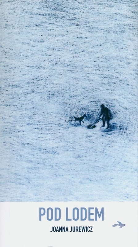 okładka Pod lodem książka | Joanna Jurewicz