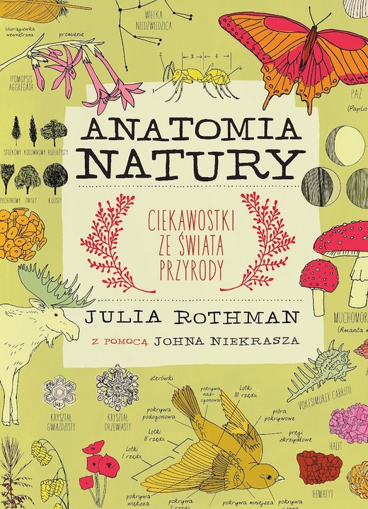 okładka Anatomia natury
 książka | Rothman Julia