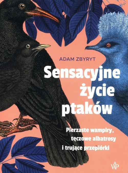okładka Sensacyjne życie ptaków. Pierzaste wampiry, tęczowe albatrosy i trujące przepiórki
 książka | Adam Zbyryt