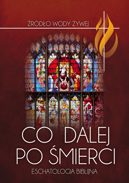 okładka Co dalej po śmierci. ebook | epub, mobi, pdf | ks. Piotr Łabuda, ks. Robert Głuchowski, ks. Grzegorz M. Baran, ks. Mirosław Łanoszka