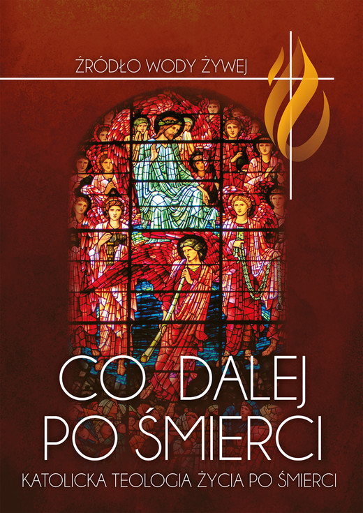 okładka Co dalej po śmierci ebook | epub, mobi, pdf | ks. Andrzej Michalik, ks. Piotr Łabuda, Ks. Antoni Żurek, ks. Paweł Bogacz, Ks. Adam Kumorek, ks. Piotr Pasek