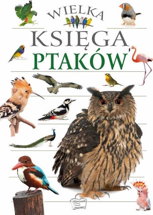 okładka Wielka Księga Ptaków książka
