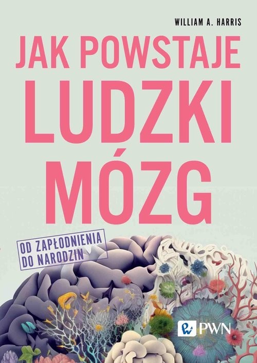 okładka Jak powstaje ludzki mózg Od zapłodnienia do narodzin książka | Harris WilliamA.