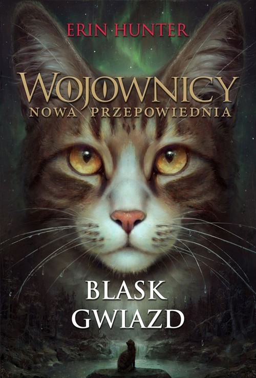okładka Wojownicy Nowa przepowiednia Tom 4 Blask gwiazd książka | Erin Hunter