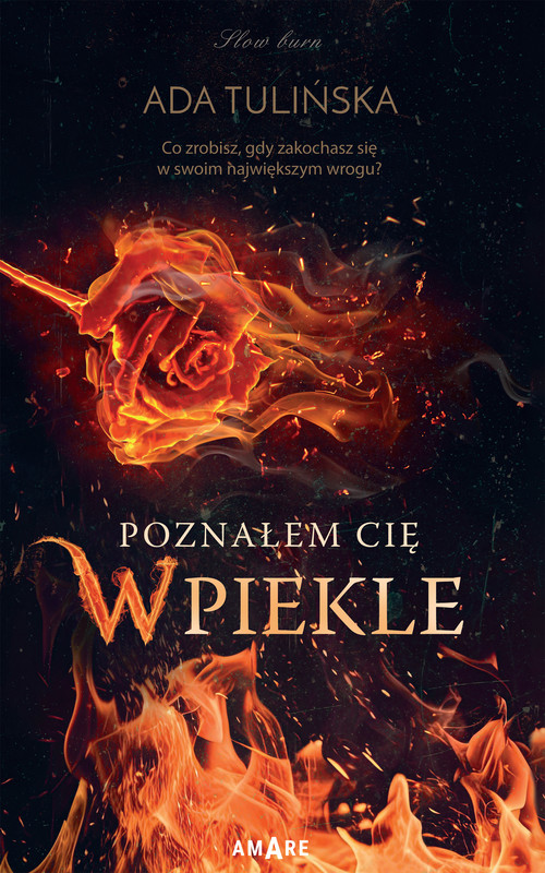 okładka Poznałem Cię w piekle ebook | epub, mobi | Ada Tulińska